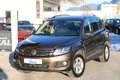 Volkswagen Tiguan 2,0 TDI BMT 4Motion Sky DPF Braun - thumbnail 1