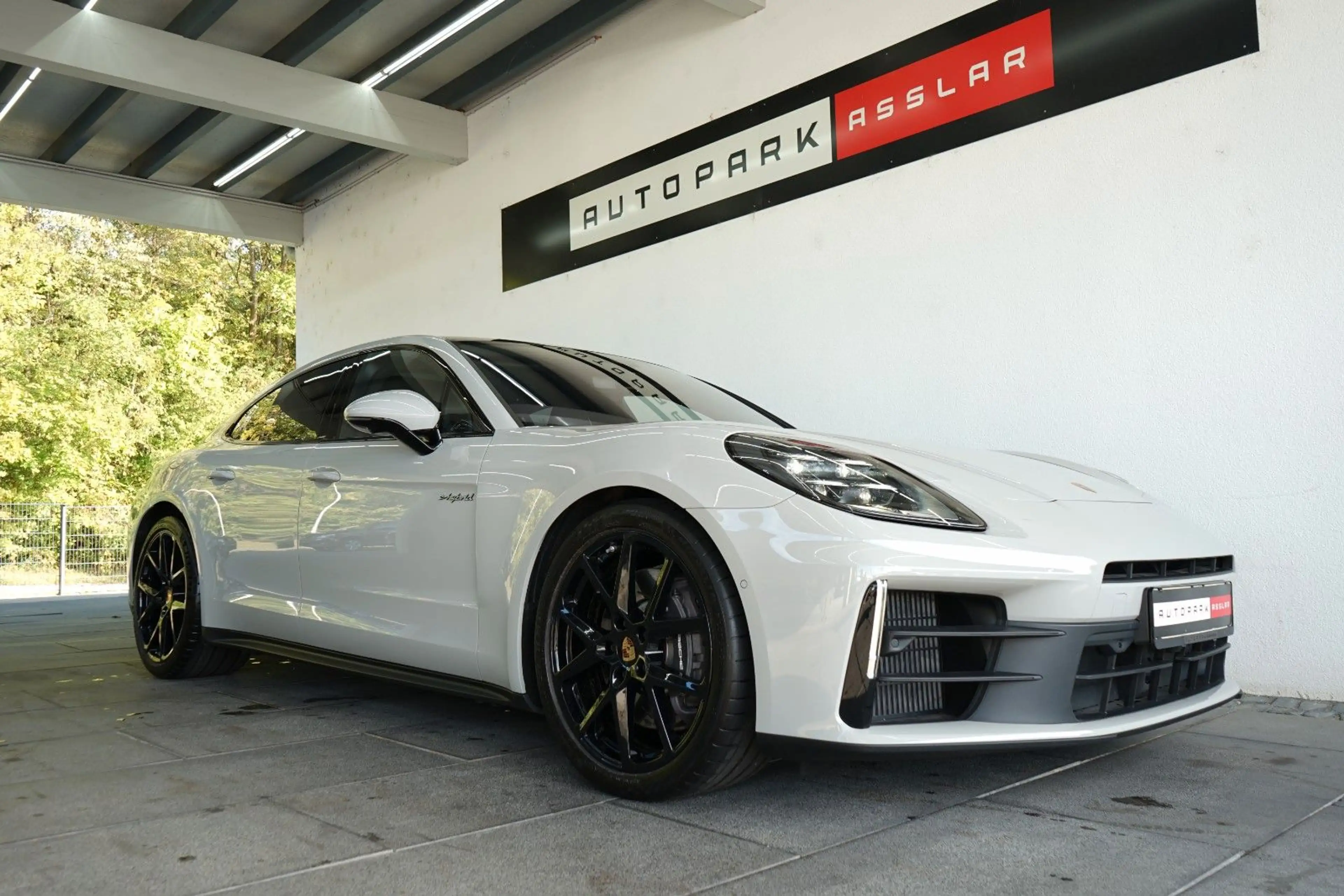 Porsche Panamera 4 E-Hybrid/MY25/Kreide/HAL/SpAbgas/MEGA — photo 2