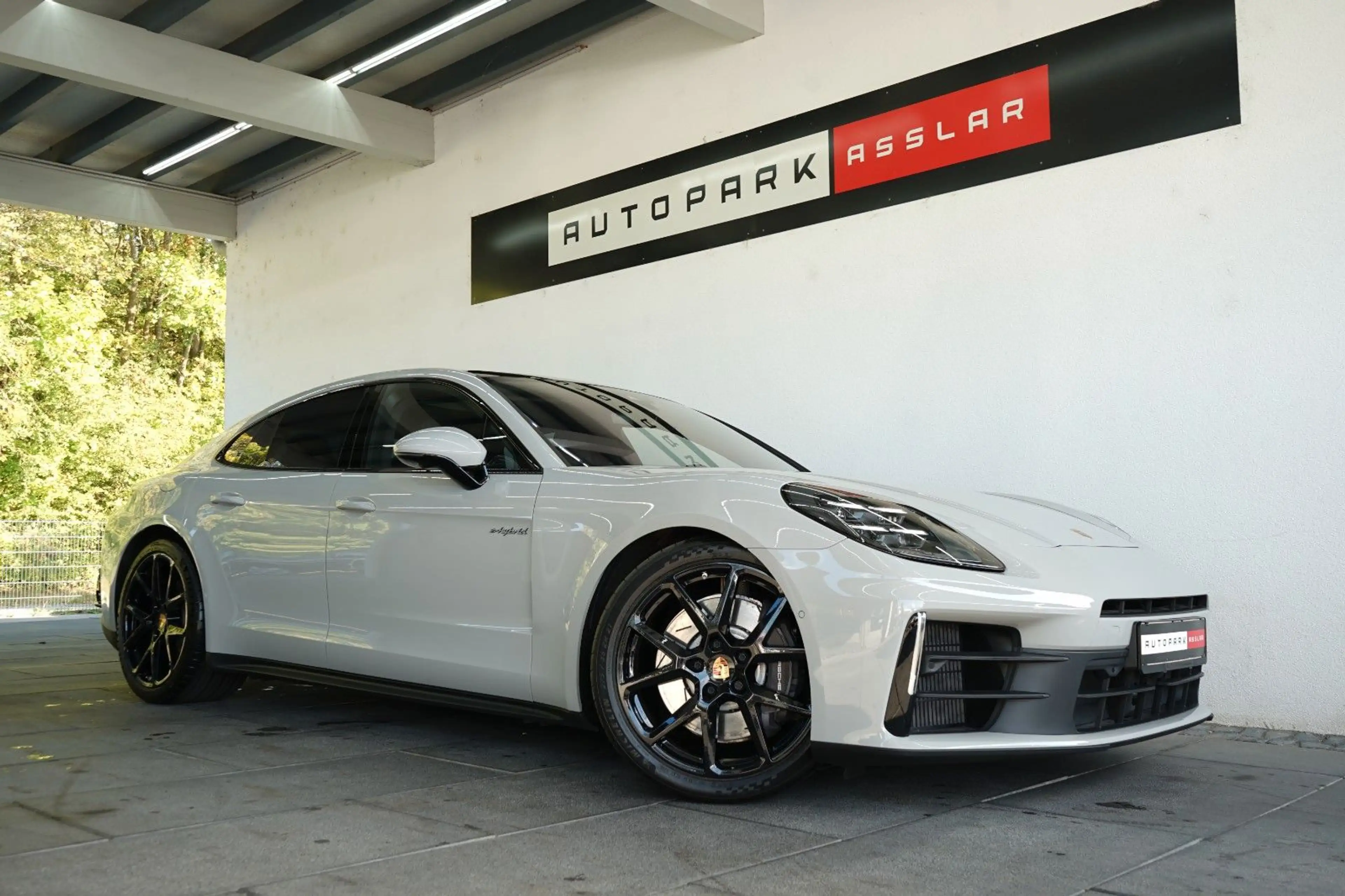 Porsche Panamera 4 E-Hybrid/MY25/Kreide/HAL/SpAbgas/MEGA — photo 5