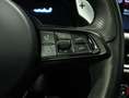 Alfa Romeo Stelvio 2.2 Veloce Q4 210 Aut. Grau - thumbnail 28