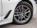 BMW 530 d Touring xDrive M-Sport PANO+H/K+NAVI+KAM Weiß - thumbnail 5