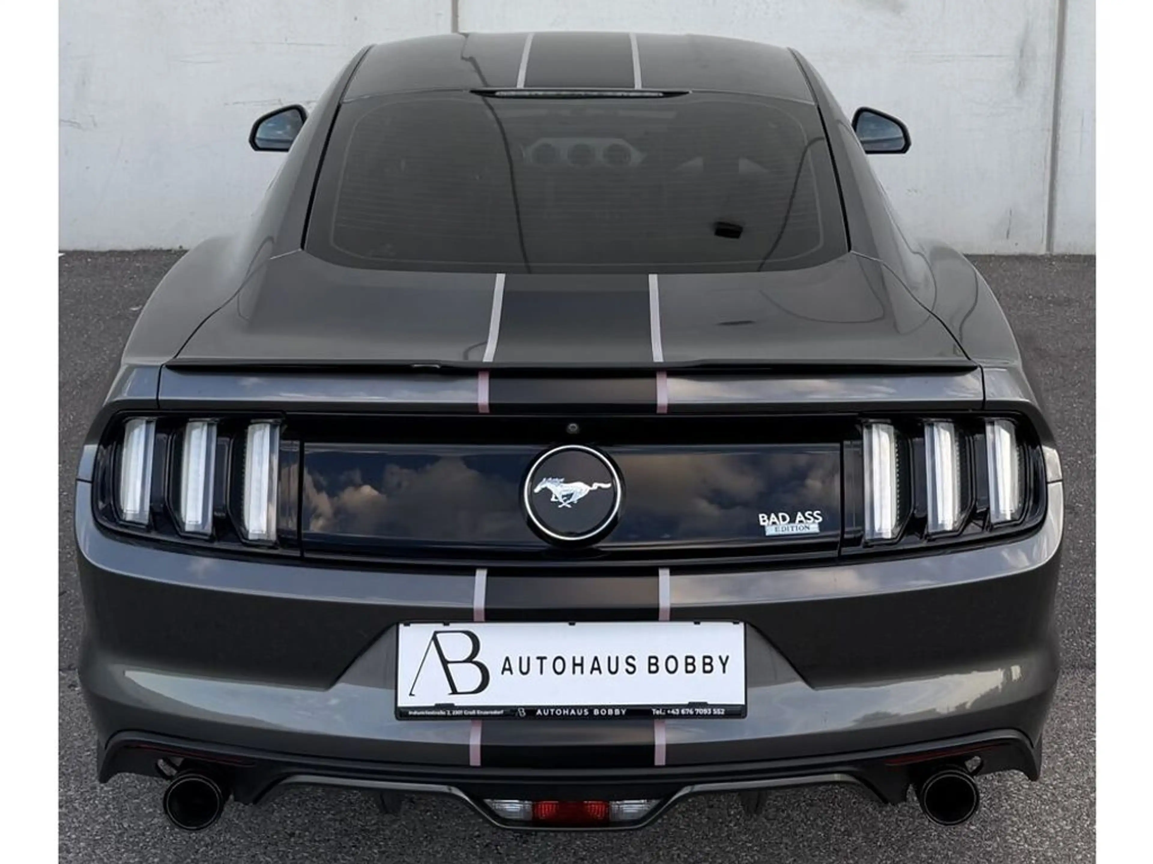 Ford Mustang Mustang — photo 10