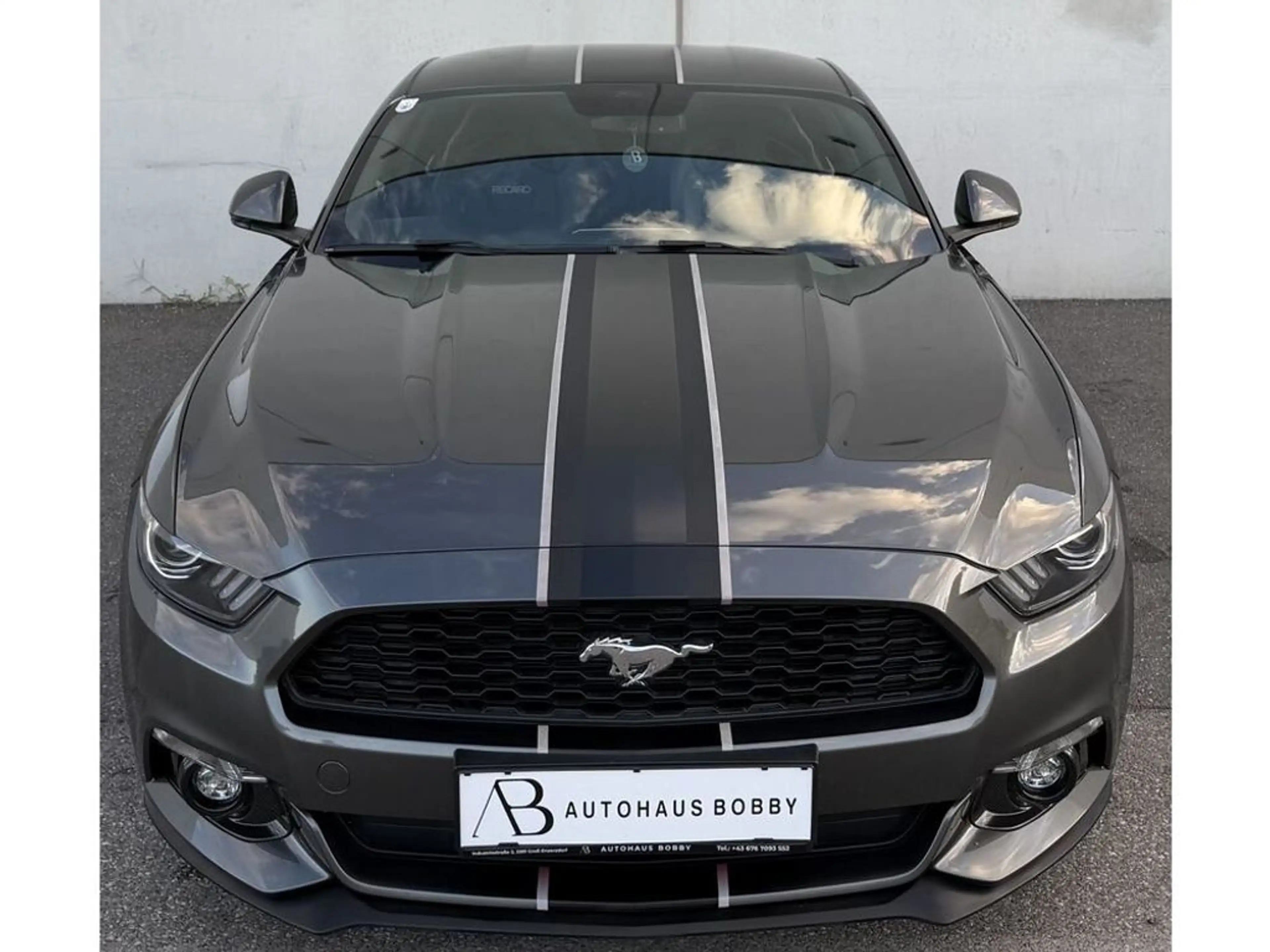 Ford Mustang Mustang — photo 6