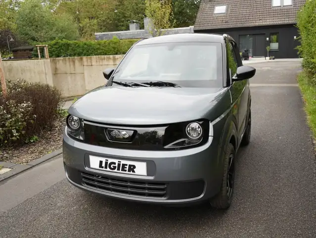 Ligier Myli E.PIC Elektro 8 kWh Servo Multimedia-Paket