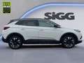 Opel Grandland X 2.0 D Automatik NAV Kamera DAB+ Weiß - thumbnail 8