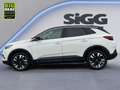 Opel Grandland X 2.0 D Automatik NAV Kamera DAB+ Weiß - thumbnail 3