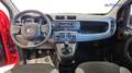 Fiat New Panda 1.0 FireFly Hybrid Violett - thumbnail 27