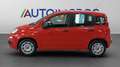 Fiat New Panda 1.0 FireFly Hybrid Violett - thumbnail 4