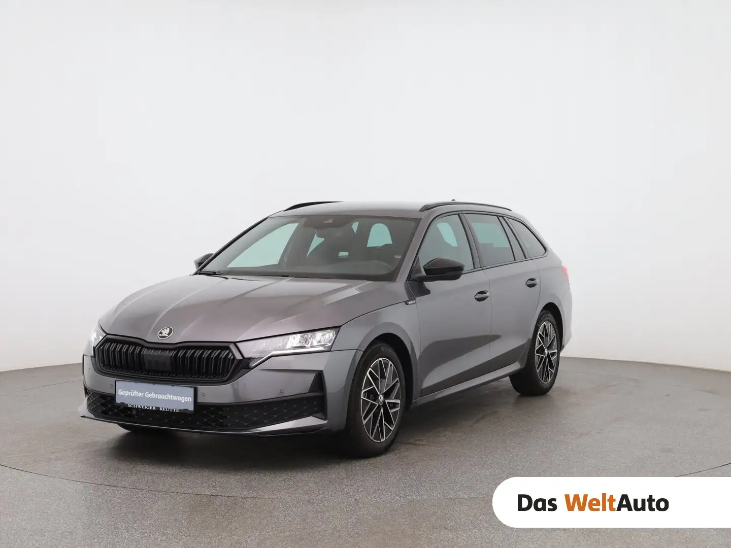 Skoda Octavia Sportline TDI DSG Grau - 1