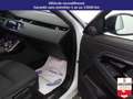 Land Rover Range Rover Evoque D150 AWD BVA9 R-Dynamic Blanc - thumbnail 15