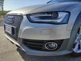 Audi A4 allroad A4 Allroad 3.0 tdi Business Plus s-tronic E6 Argent - thumbnail 11
