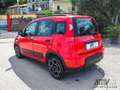 Fiat Panda 1.0 FireFly S&S Hybrid UNICO PROPRIETARIO Rosso - thumbnail 6