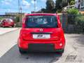 Fiat Panda 1.0 FireFly S&S Hybrid UNICO PROPRIETARIO Rosso - thumbnail 5
