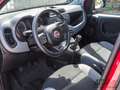 Fiat Panda 1.0 FireFly S&S Hybrid UNICO PROPRIETARIO Rosso - thumbnail 7