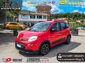 Fiat Panda 1.0 FireFly S&S Hybrid UNICO PROPRIETARIO Rosso - thumbnail 1