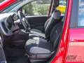 Fiat Panda 1.0 FireFly S&S Hybrid UNICO PROPRIETARIO Rosso - thumbnail 8