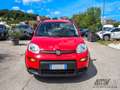 Fiat Panda 1.0 FireFly S&S Hybrid UNICO PROPRIETARIO Rosso - thumbnail 2