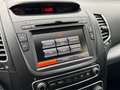 Kia Sorento Platinum Edition 4WD*Pano*Memory*Keyless Noir - thumbnail 39