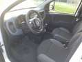 Fiat Panda Panda 1.2 Easy s Bianco - thumbnail 12