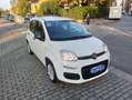 Fiat Panda Panda 1.2 Easy s Bianco - thumbnail 1