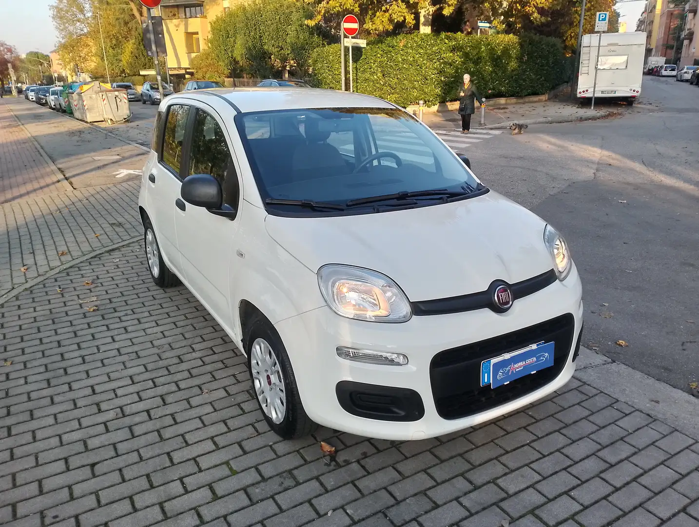 Fiat Panda Panda 1.2 Easy s Bianco - 1