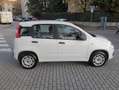 Fiat Panda Panda 1.2 Easy s Bianco - thumbnail 6