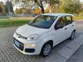 Fiat Panda Panda 1.2 Easy s Bianco - thumbnail 3