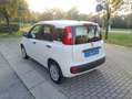 Fiat Panda Panda 1.2 Easy s Bianco - thumbnail 5