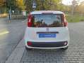 Fiat Panda Panda 1.2 Easy s Bianco - thumbnail 7
