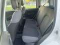 Fiat Panda Panda 1.2 Easy s Bianco - thumbnail 10