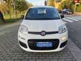 Fiat Panda Panda 1.2 Easy s Bianco - thumbnail 2