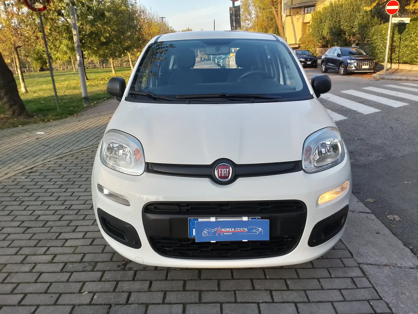Fiat Panda Panda 1.2 Easy s Bianco - 2