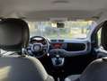 Fiat Panda Panda 1.2 Easy s Bianco - thumbnail 13