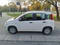 Fiat Panda Panda 1.2 Easy s Bianco - thumbnail 8