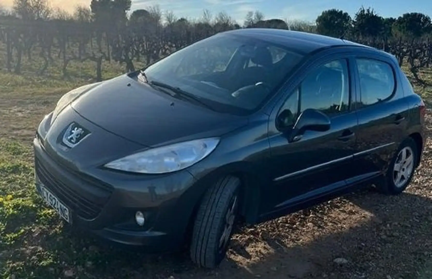 Peugeot 207 + 1.4 HDi 68ch FAP BLUE LION Šedá - 1