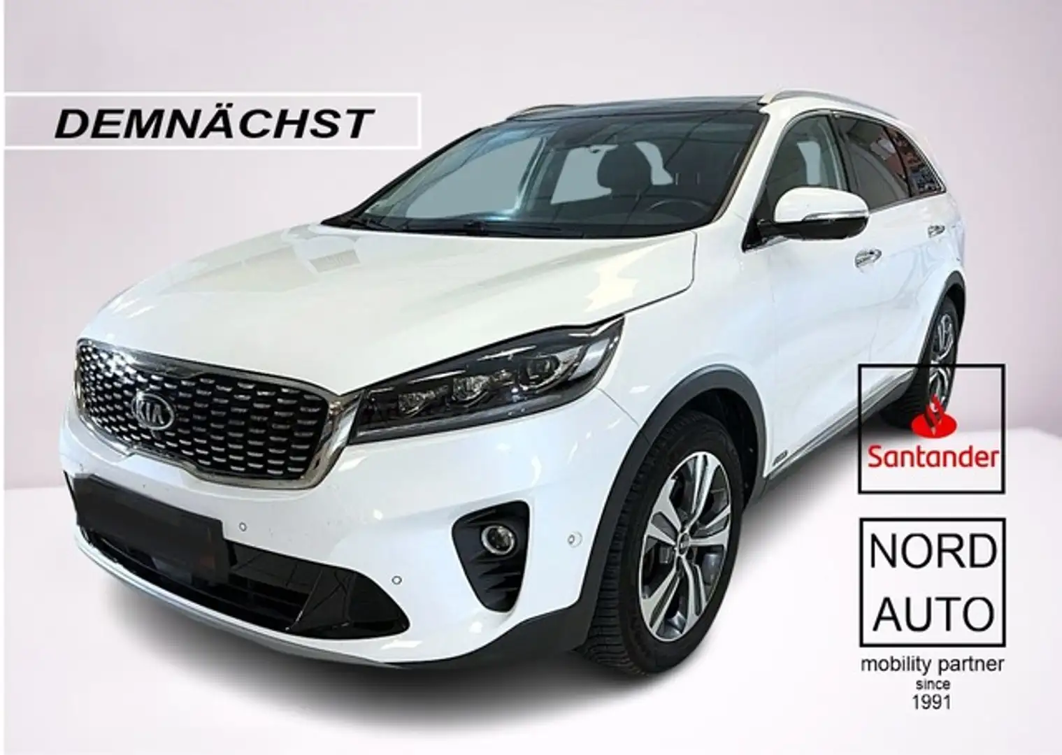 Kia Sorento 2.2 PLATIUM 4x4 Leder/Navi/Kam/Pano. Weiß - 1