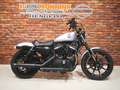 Harley-Davidson Sportster XL 883 N Iron Zilver - thumbnail 2