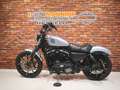 Harley-Davidson Sportster XL 883 N Iron Zilver - thumbnail 13