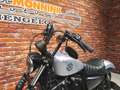 Harley-Davidson Sportster XL 883 N Iron Zilver - thumbnail 19