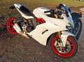 Ducati SuperSport supersport  s 939 Bianco - thumbnail 7