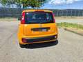 Fiat Panda Panda III 2021 1.0 firefly hybrid sPREZZO REALE - thumbnail 6