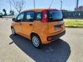 Fiat Panda Panda III 2021 1.0 firefly hybrid sPREZZO REALE - thumbnail 5