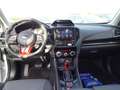 Subaru Forester 2.0ie Lineartronic Edition Exclusive Cross 2024 Bianco - thumbnail 7