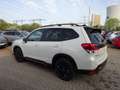 Subaru Forester 2.0ie Lineartronic Edition Exclusive Cross 2024 Bianco - thumbnail 2