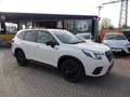 Subaru Forester 2.0ie Lineartronic Edition Exclusive Cross 2024 Bianco - thumbnail 4