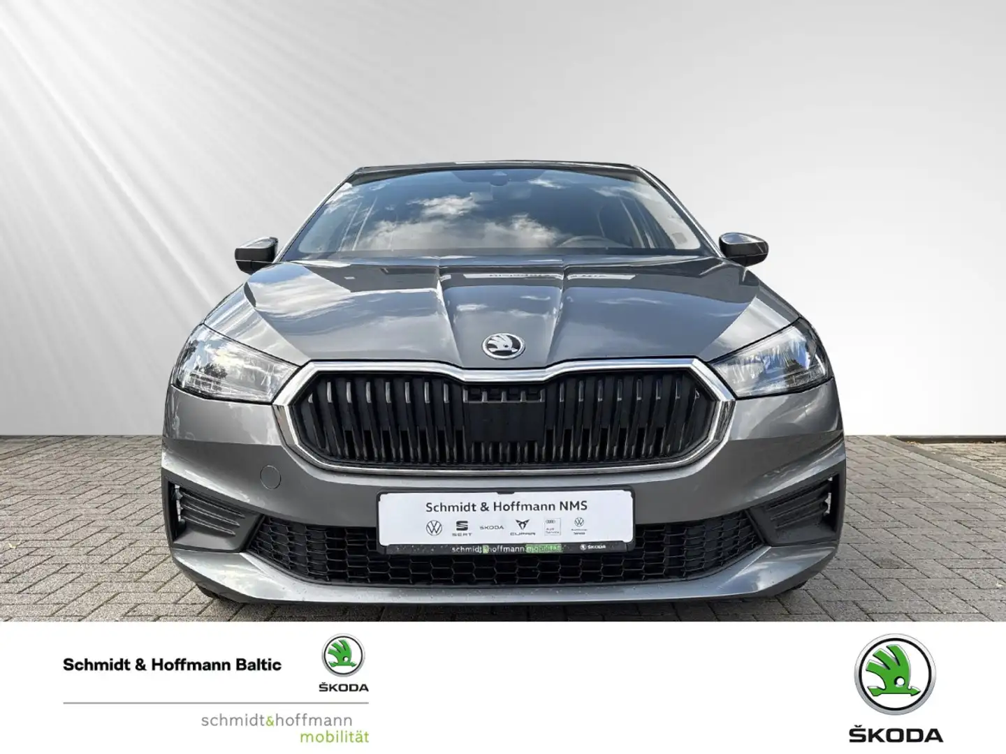 Skoda Fabia 1.0 TSI Ambition Klima Einparkhilfe Sitzheizung Grijs - 2