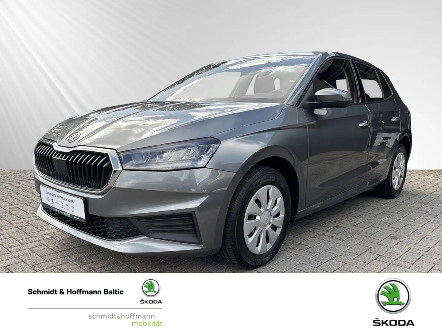 Skoda Fabia 1.0 TSI Ambition Klima Einparkhilfe Sitzheizung Grijs - 1