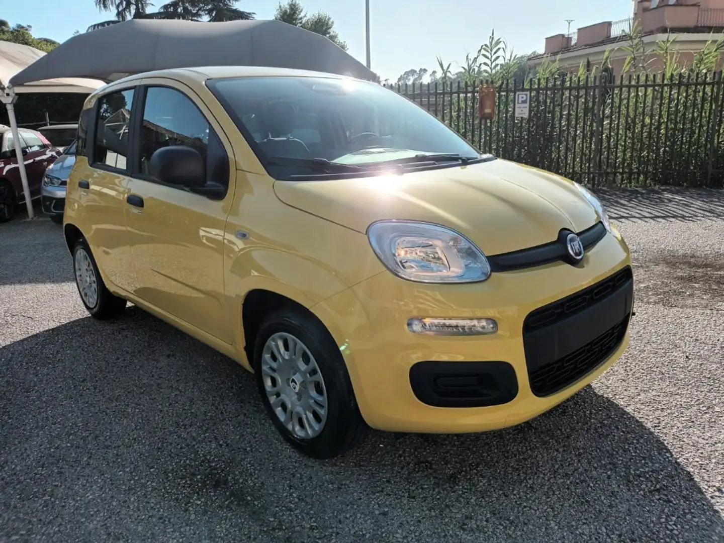 Fiat New Panda 1000 HYBRID 70 CV PDC ITALIA Giallo - 2
