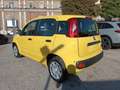 Fiat New Panda 1000 HYBRID 70 CV PDC ITALIA Giallo - thumbnail 3