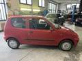 Fiat Seicento 1.1 Hobby - thumbnail 2